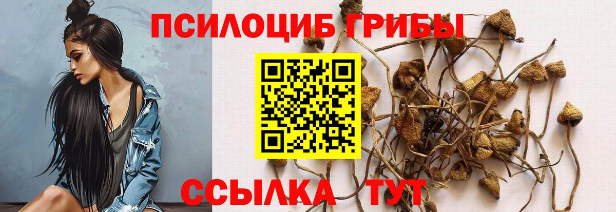 Галлюциногенные грибы Psilocybine cubensis  Галлюциногенные грибы прущие грибы  Вход с VPN  Зерноград 