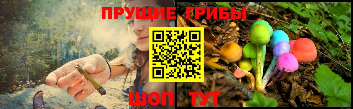 Псилоцибиновые грибы Psilocybe Зерноград